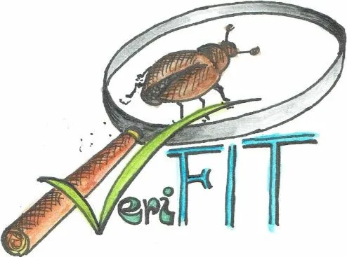 Výzkumná skupina automatizované analýzy a verifikace (VeriFIT)
